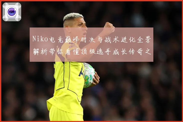 Niko电竞巅峰对决与战术进化全景解析带你看懂顶级选手成长传奇之路