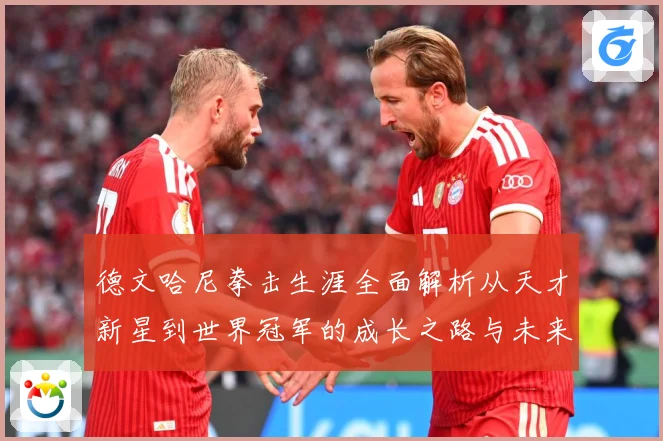 德文哈尼拳击生涯全面解析从天才新星到世界冠军的成长之路与未来挑战