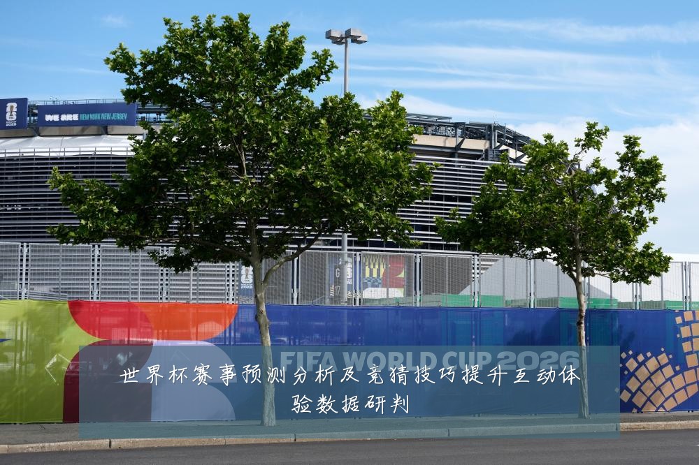 世界杯赛事预测分析及竞猜技巧提升互动体验数据研判